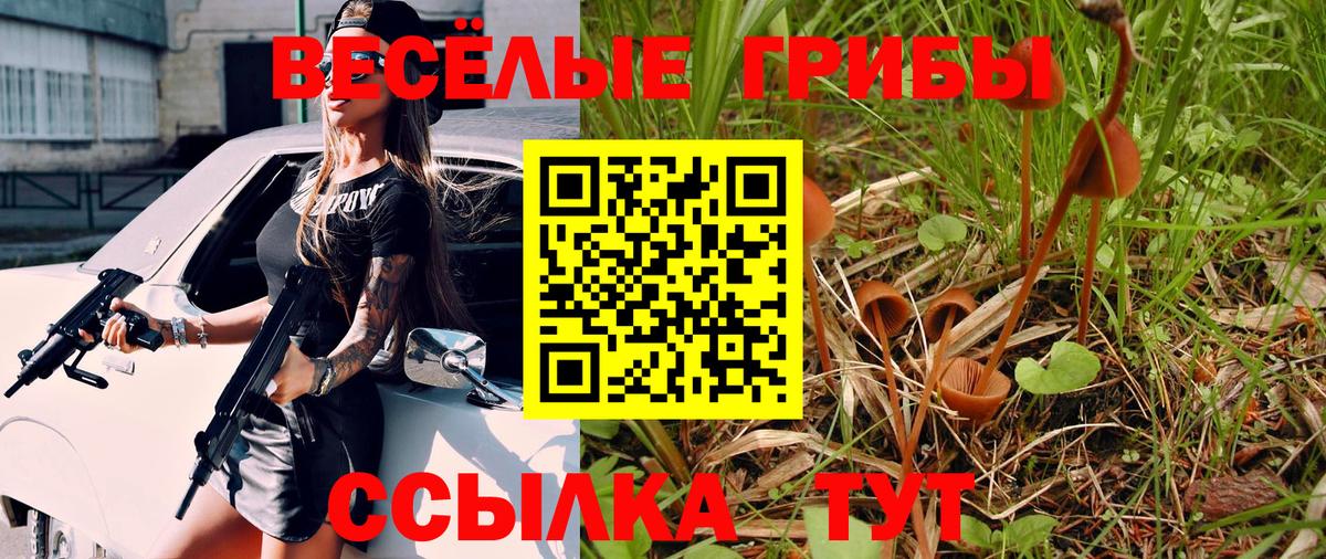 Отрадный  наркошоп  Вход с VPN  Галлюциногенные грибы мицелий 